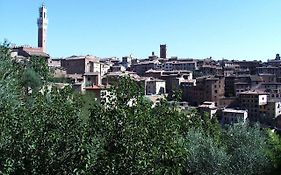 Bed & Breakfast Camollia